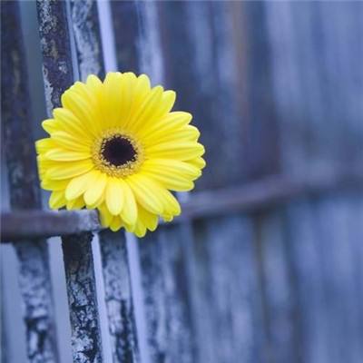 百人牛牛游戏软件下载手机版