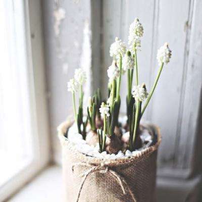 澳门新葡萄新京8883下载手机版