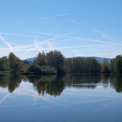 今天买什么特马手机app下载