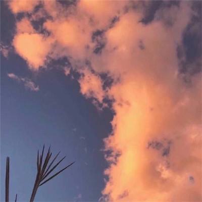 购彩中心welcome入口官方版手机app下载