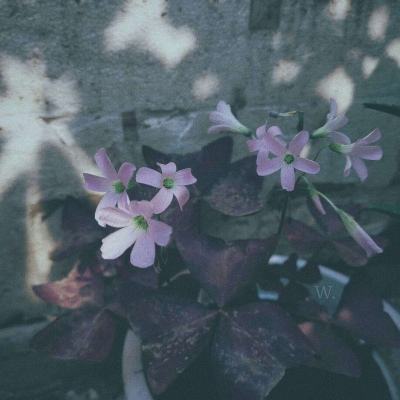 爱游戏全站APP下载app下载