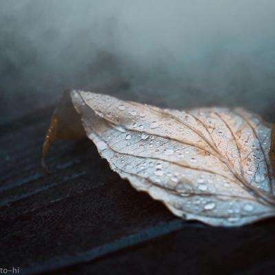 5848vip威尼斯电子游戏app下载截图